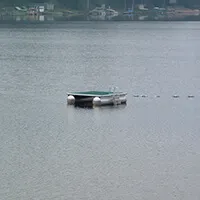 Aqua Cycle Swim Raft